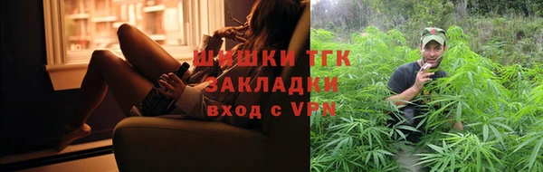 трава Гусиноозёрск