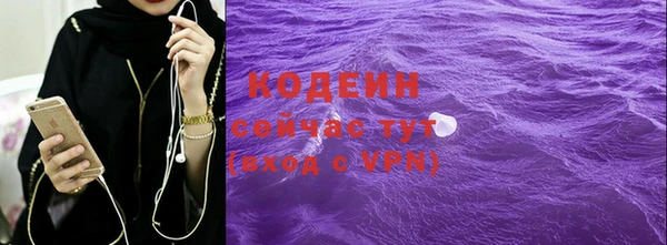 трава Гусиноозёрск