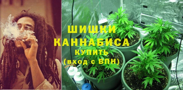 трава Гусиноозёрск