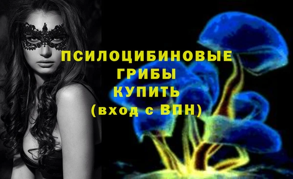 трава Гусиноозёрск