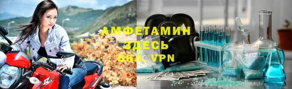 трава Гусиноозёрск